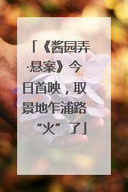《酱园弄·悬案》今日首映，取景地乍浦路“火”了