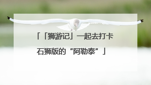 「狮游记」一起去打卡石狮版的“阿勒泰”