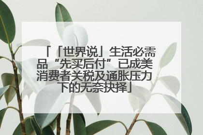 「世界说」生活必需品“先买后付”已成美消费者关税及通胀压力下的无奈抉择