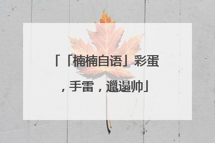 「楠楠自语」彩蛋，手雷，邋遢帅