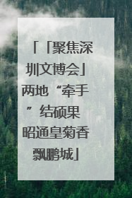 「聚焦深圳文博会」两地“牵手”结硕果 昭通皇菊香飘鹏城