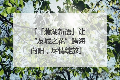 「蒲湖新语」让“友城之花”跨海向阳，尽情绽放