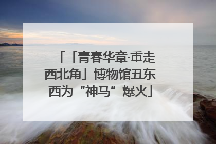 「青春华章·重走西北角」博物馆丑东西为“神马”爆火