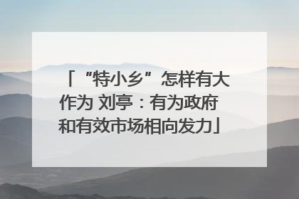 “特小乡”怎样有大作为 刘亭：有为政府和有效市场相向发力