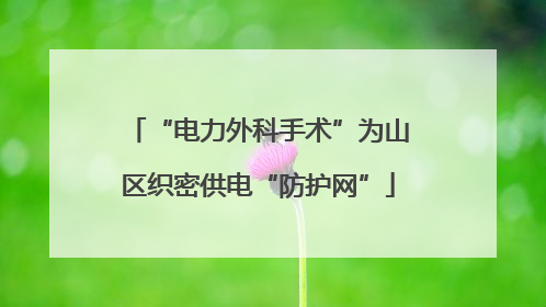 “电力外科手术”为山区织密供电“防护网”