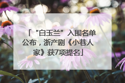 “白玉兰”入围名单公布，浙产剧《小巷人家》获7项提名