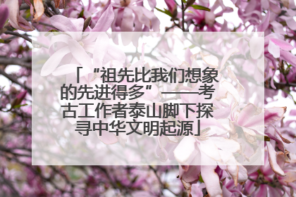 “祖先比我们想象的先进得多”——考古工作者泰山脚下探寻中华文明起源
