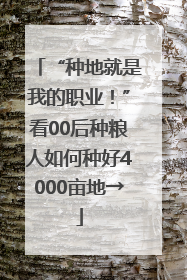 “种地就是我的职业！”看00后种粮人如何种好4000亩地→