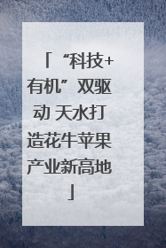“科技+有机”双驱动 天水打造花牛苹果产业新高地