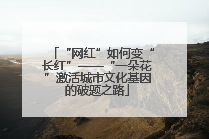 “网红”如何变“长红”——“一朵花”激活城市文化基因的破题之路