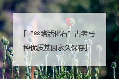 “丝路活化石”古老马种优质基因永久保存