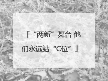 “两新”舞台 他们永远站“C位”