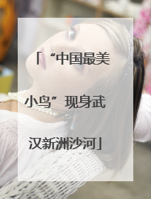 “中国最美小鸟”现身武汉新洲沙河