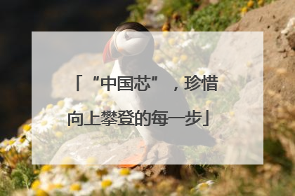 “中国芯”，珍惜向上攀登的每一步