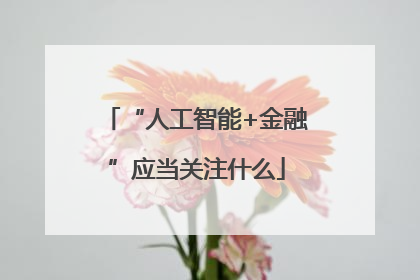 “人工智能+金融”应当关注什么