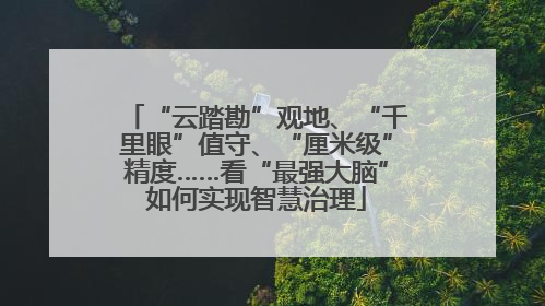 “云踏勘”观地、“千里眼”值守、“厘米级”精度……看“最强大脑”如何实现智慧治理
