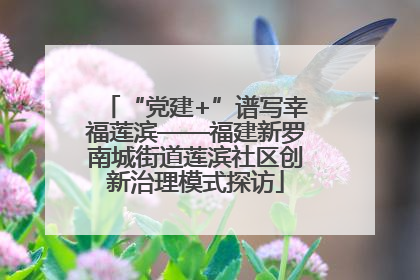 “党建+”谱写幸福莲滨——福建新罗南城街道莲滨社区创新治理模式探访