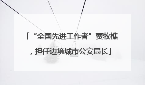 “全国先进工作者”贾牧樵，担任边境城市公安局长