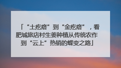 “土疙瘩”到“金疙瘩”，看肥城旅店村生姜种植从传统农作到“云上”热销的蝶变之路