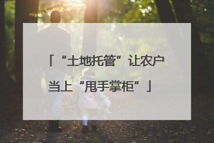“土地托管”让农户当上“甩手掌柜”
