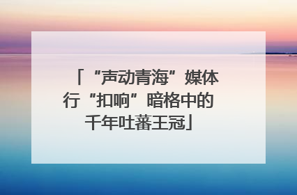 “声动青海”媒体行“扣响”暗格中的千年吐蕃王冠