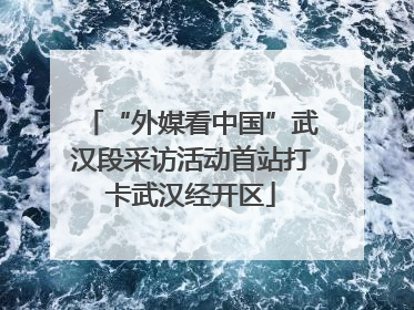 “外媒看中国”武汉段采访活动首站打卡武汉经开区