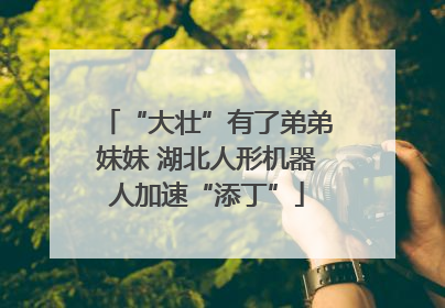 “大壮”有了弟弟妹妹 湖北人形机器人加速“添丁”