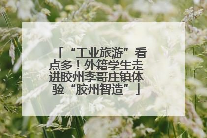 “工业旅游”看点多！外籍学生走进胶州李哥庄镇体验“胶州智造”