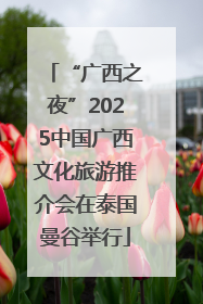“广西之夜”2025中国广西文化旅游推介会在泰国曼谷举行