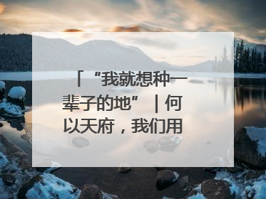 “我就想种一辈子的地”｜何以天府，我们用粮食作答②