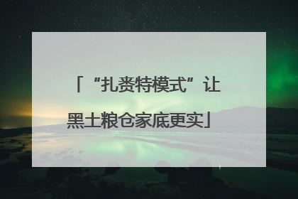 “扎赉特模式”让黑土粮仓家底更实