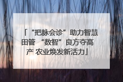 “把脉会诊”助力智慧田管 “数智”良方夺高产 农业焕发新活力