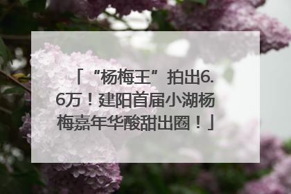 “杨梅王”拍出6.6万！建阳首届小湖杨梅嘉年华酸甜出圈！