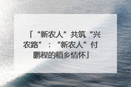 “新农人”共筑“兴农路”：“新农人”付鹏程的稻乡情怀