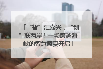 “智”汇嘉兴，“创”联两岸！一场跨越海峡的智慧盛宴开启