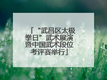 “武昌区太极拳日”武术展演暨中国武术段位考评赛举行