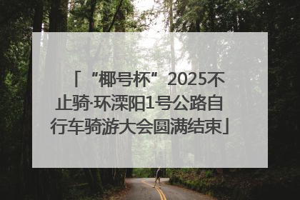 “椰号杯”2025不止骑·环溧阳1号公路自行车骑游大会圆满结束