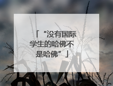 “没有国际学生的哈佛不是哈佛”