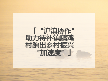 “沪滇协作”助力待补镇鹧鸡村跑出乡村振兴“加速度”