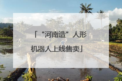 “河南造”人形机器人上线售卖