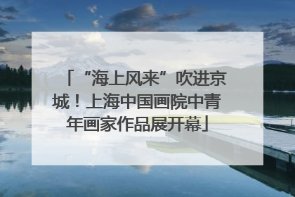 “海上风来”吹进京城！上海中国画院中青年画家作品展开幕