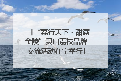 “荔行天下・甜满金陵”灵山荔枝品牌交流活动在宁举行