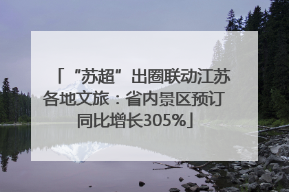 “苏超”出圈联动江苏各地文旅：省内景区预订同比增长305%