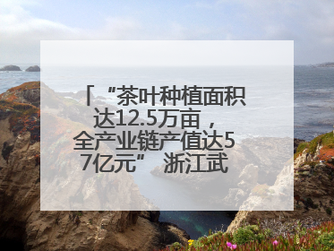 “茶叶种植面积达12.5万亩，全产业链产值达57亿元” 浙江武义茶产业全链发展“加速度”