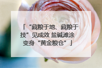 “藏粮于地、藏粮于技”见成效 盐碱滩涂变身“黄金粮仓”