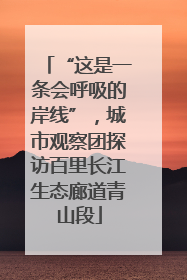 “这是一条会呼吸的岸线”，城市观察团探访百里长江生态廊道青山段