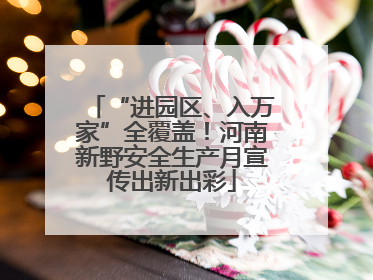 “进园区、入万家”全覆盖！河南新野安全生产月宣传出新出彩