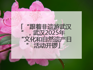“跟着非遗游武汉”，武汉2025年“文化和自然遗产日” 活动开锣