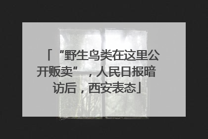 “野生鸟类在这里公开贩卖”，人民日报暗访后，西安表态