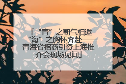 “青”之朝气相邀 “海”之胸怀奔赴——青海省招商引资上海推介会现场见闻